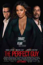 Watch The Perfect Guy 123movies