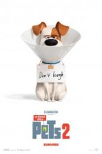 Watch The Secret Life of Pets 2 123movies