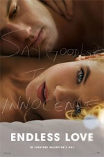 Watch Endless Love 123movies