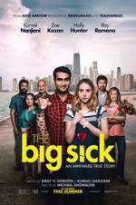 Watch The Big Sick 123movies