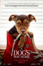 Watch A Dog's Way Home 123movies