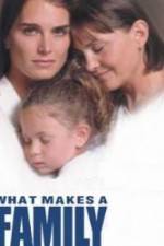 Watch What Makes a Family 123movies