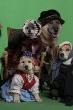 Watch Heidi 4 Paws 123movies