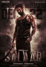 Watch Salaar 123movies