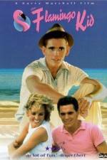 Watch The Flamingo Kid 123movies
