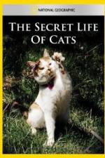 Watch National Geographic The Secret Life of Cats 123movies