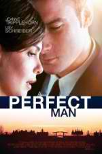 Watch A Perfect Man 123movies
