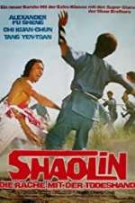 Watch The Shaolin Avengers 123movies