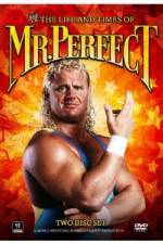 Watch The Life and Times of Mr Perfect 123movies