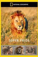 Watch National Geographic: Super Pride Africa\'s Largest Lion Pride 123movies