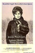 Watch Summer Wishes, Winter Dreams 123movies