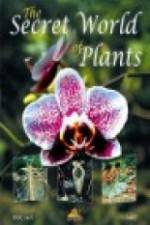Watch The Secret World of Plants 123movies