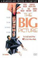 Watch The Big Picture 123movies