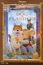 Watch The Dog of Flanders 123movies