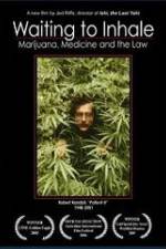 Watch Waiting to Inhale 123movies