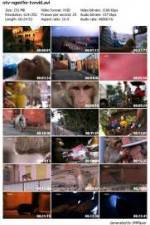 Watch National Geographic Monkey Thieves: Heroes - Villains 123movies