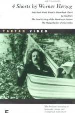 Watch La Soufria?re - Waiting For An Inevitable Disaster 123movies