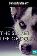 Watch Secret Life of Dogs 123movies
