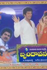 Watch Brundavanam 123movies