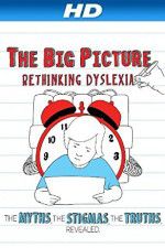 Watch The Big Picture Rethinking Dyslexia 123movies