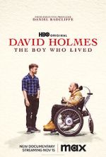 Watch David Holmes: The Boy Who Lived 123movies