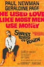Watch Sweet Bird of Youth 123movies