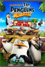 Watch Penguins of Madagascar New to the Zoo 123movies