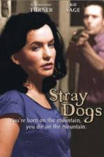 Watch Stray Dogs 123movies