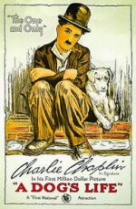 Watch A Dog's Life (Short 1918) 123movies