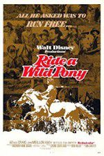 Watch Ride a Wild Pony 123movies