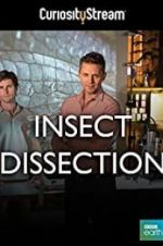Watch Insect Dissection: How Insects Work 123movies