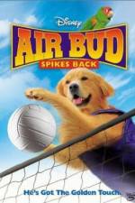 Watch Air Bud Spikes Back 123movies