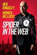 Watch Spider in the Web 123movies