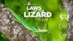 Watch Laws of the Lizard 123movies