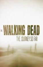 Watch The Walking Dead: The Journey So Far 123movies
