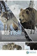 Watch Wolf vs Bear 123movies