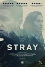 Watch Stray 123movies