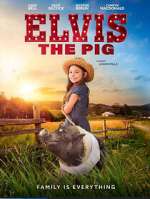 Watch Elvis the Pig 123movies