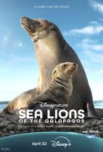 Watch Sea Lions of the Galapagos (TV Special 2025) 123movies