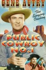 Watch Public Cowboy No 1 123movies
