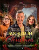 Watch The Great Christmas Snow-In 123movies