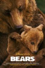 Watch Bears 123movies