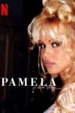 Watch Pamela, a Love Story 123movies