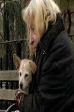 Watch Water in the Boat 123movies