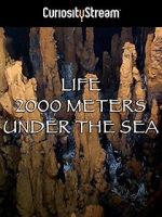 Watch Life 2,000 Meters Under the Sea 123movies