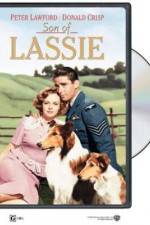 Watch Son of Lassie 123movies