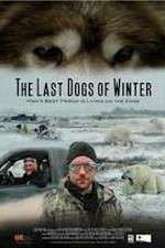 Watch The Last Dogs of Winter 123movies