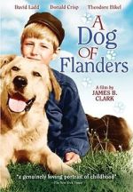 Watch A Dog of Flanders 123movies