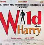 Watch Wild About Harry 123movies