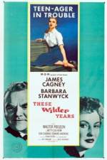 Watch These Wilder Years 123movies